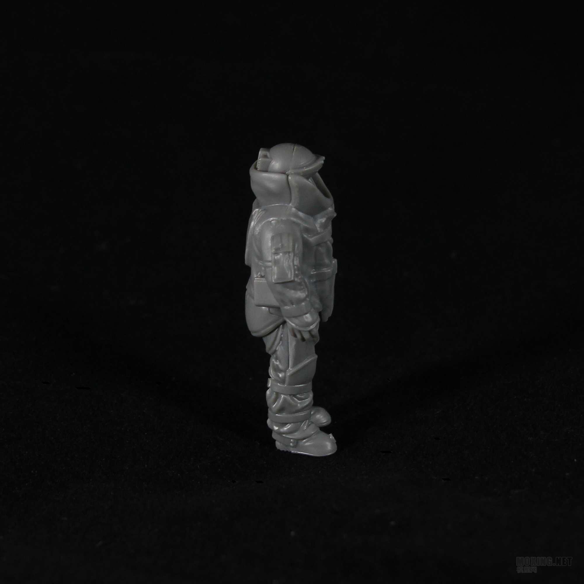 z005.jpg