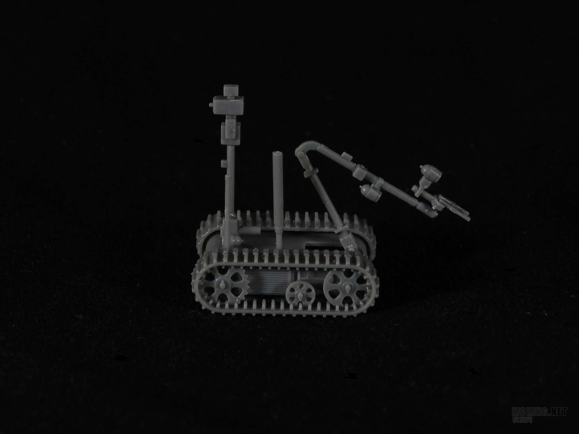 z010.jpg