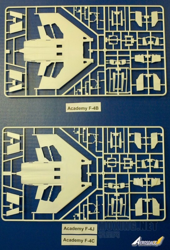 early-vs-late-wing-lower-su.jpg