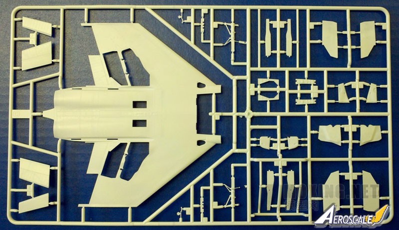 sprue-c.jpg