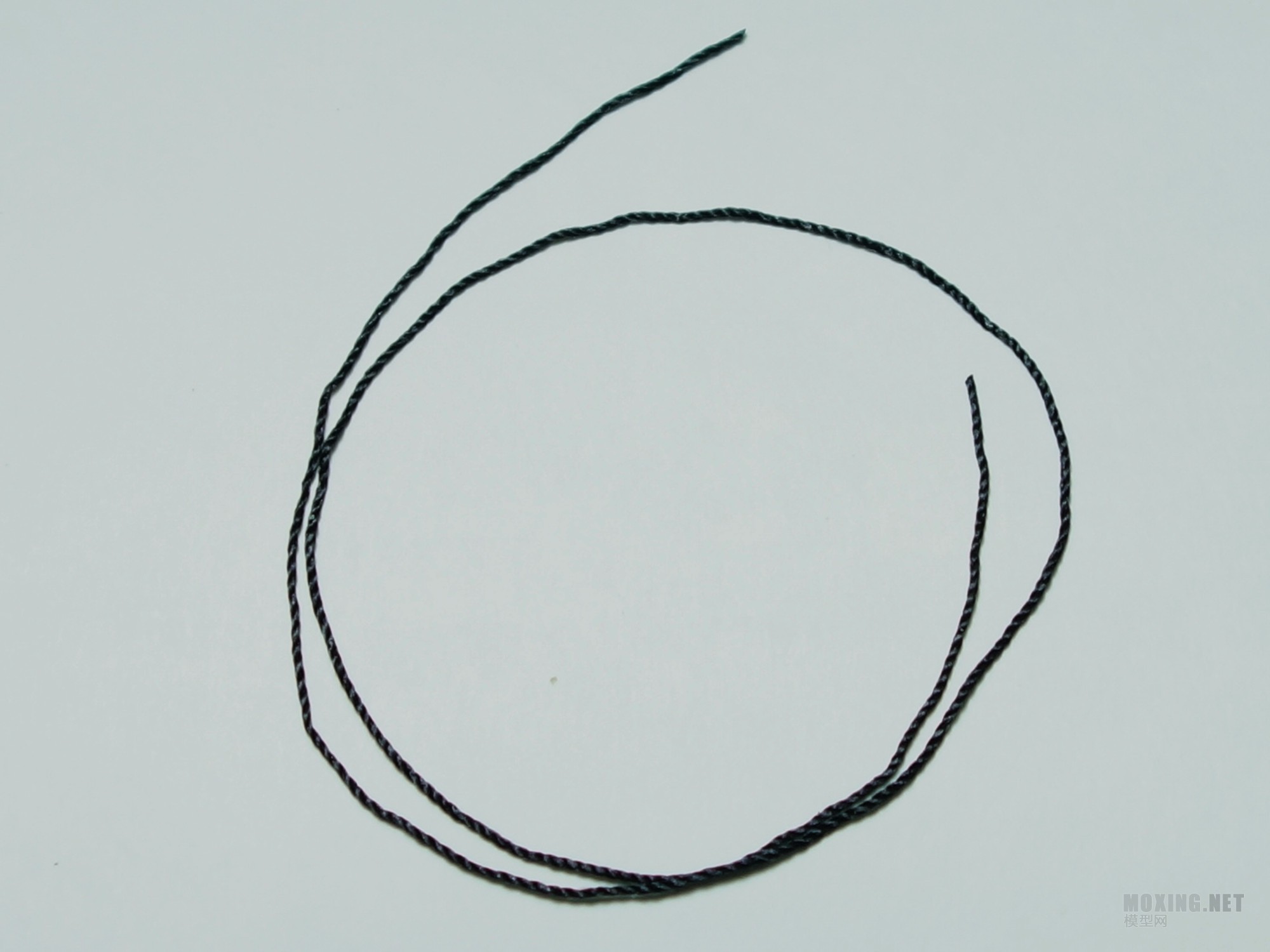 DSC00718_.jpg