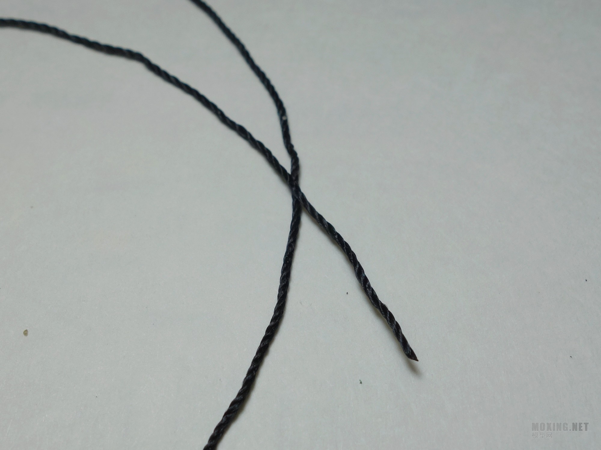 DSC00720_.jpg