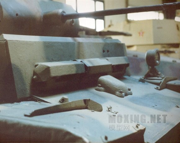 LUCHS_33.JPG