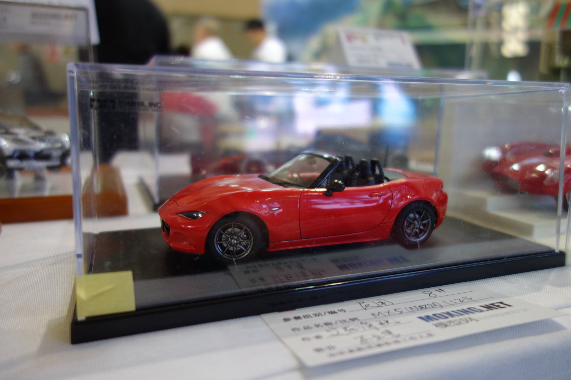 DSC01833.jpg