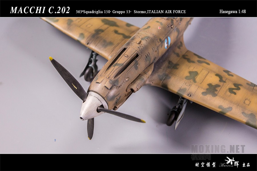 BL5A3817.JPG