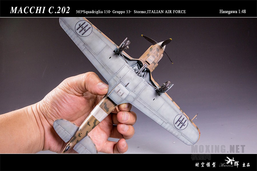 BL5A3831.JPG