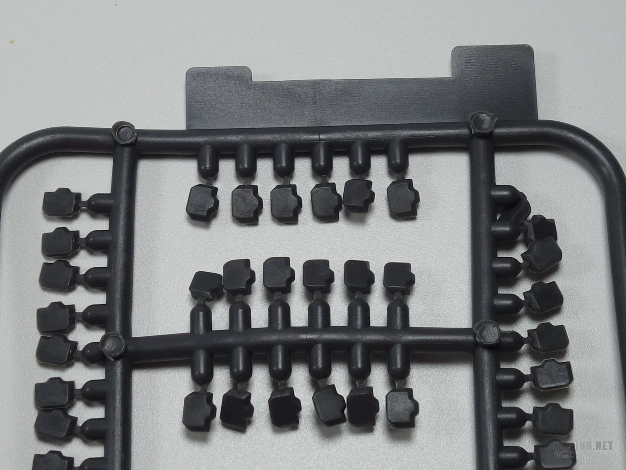 DSC02500_.jpg