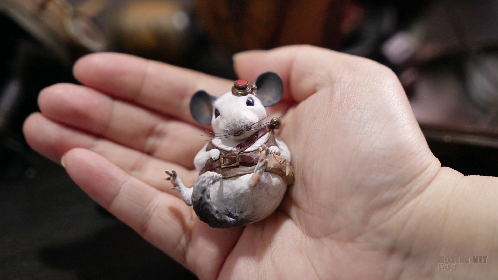 chinchilla1.jpg