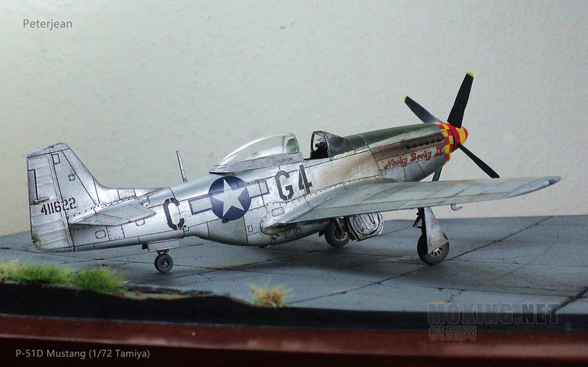 P-51D Mustang (1/72)
