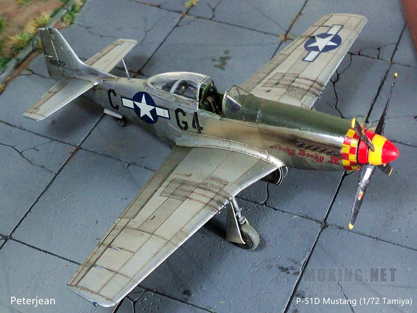 P-51D Mustang (1/72)