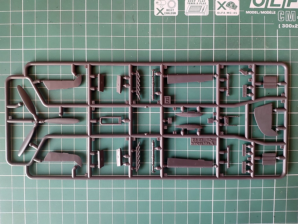 160623835_3800089003439742_9072322627348338578_o.jpg