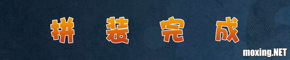 素组完成.jpg