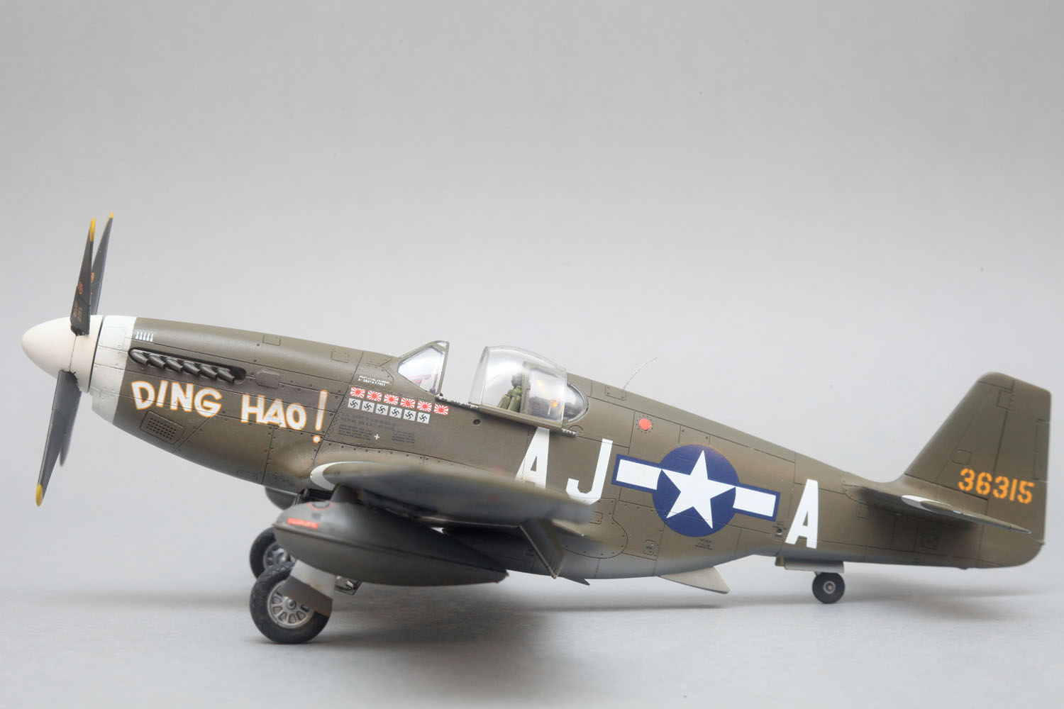 p51b_dinghao_model_new_001.jpg