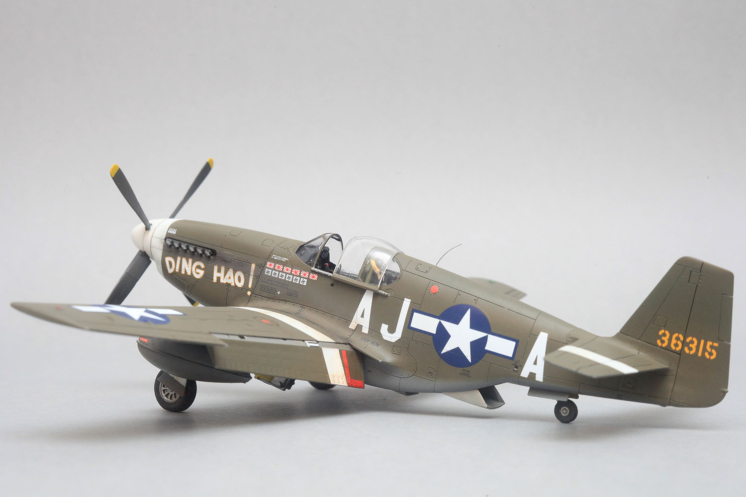 p51b_dinghao_model_new_002.jpg