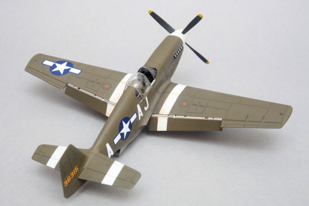 p51b_dinghao_model_new_015-1024x683.jpg