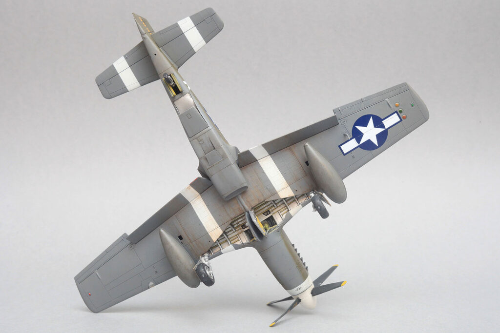 p51b_dinghao_model_new_017-1024x683.jpg