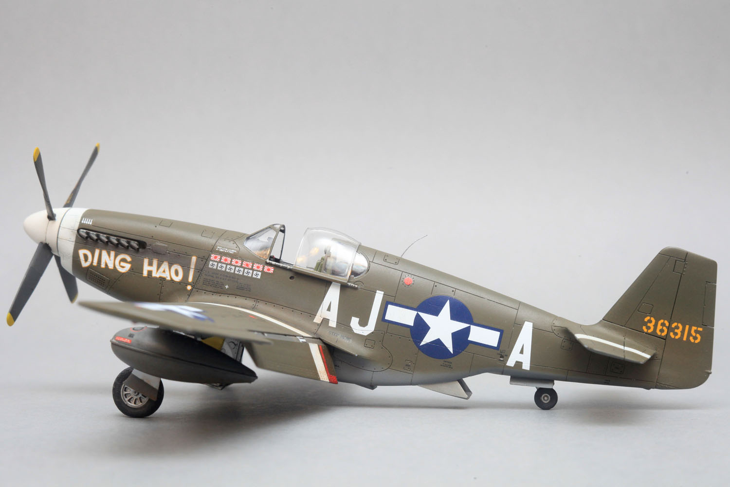 p51b_dinghao_model_new_003.jpg