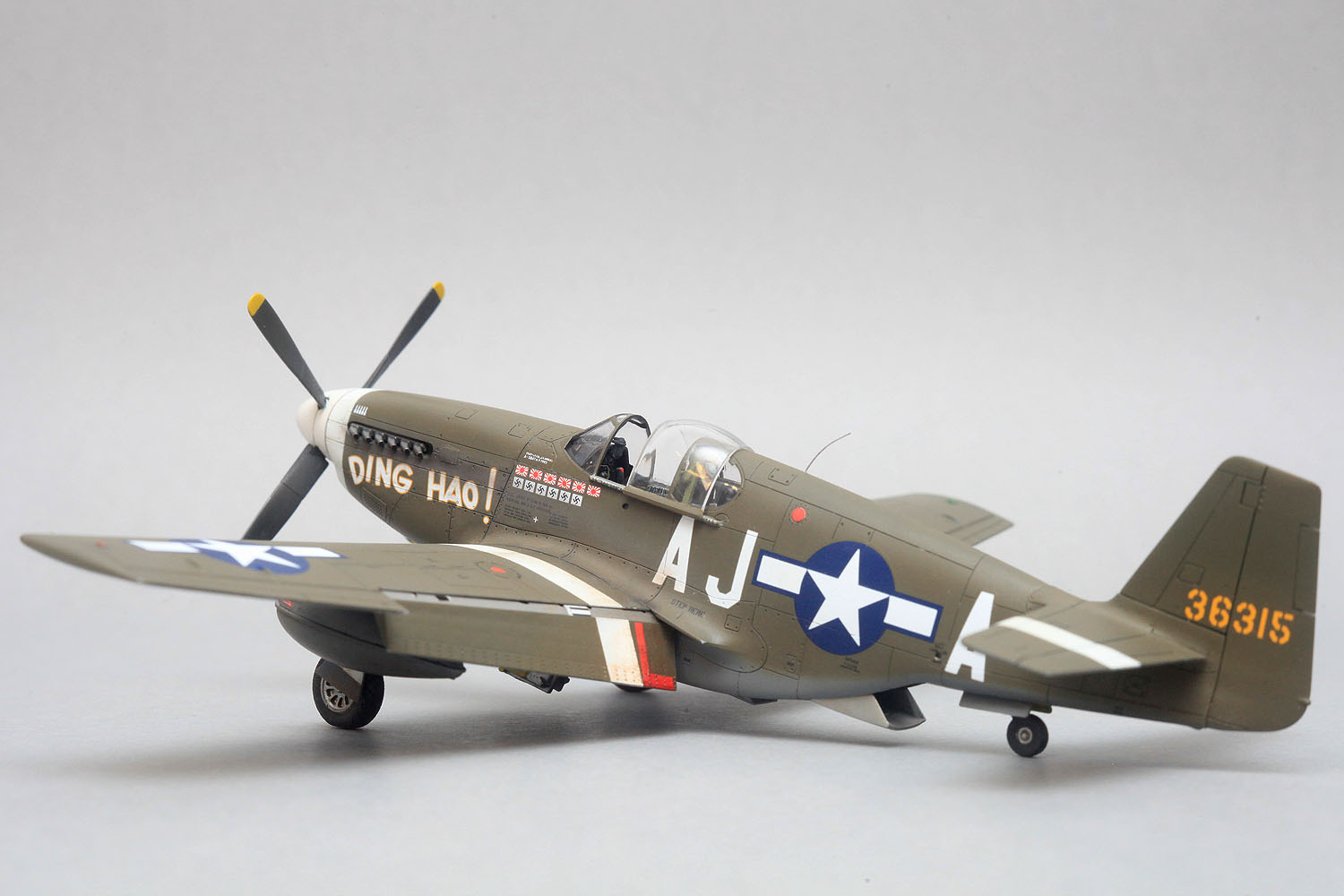 p51b_dinghao_model_new_004.jpg