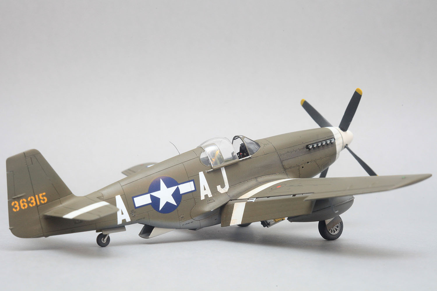 p51b_dinghao_model_new_008.jpg