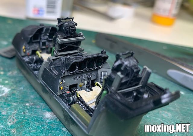 Revell (1-48) F-15E Tiger Lead 04891 - 7 of 66.jpeg