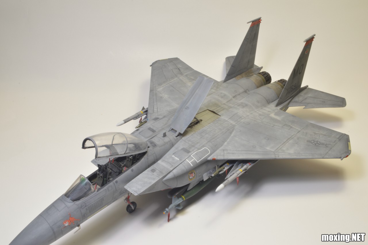 Revell (1-48) F-15E Tiger Lead 04891 - 12 of 28.jpeg