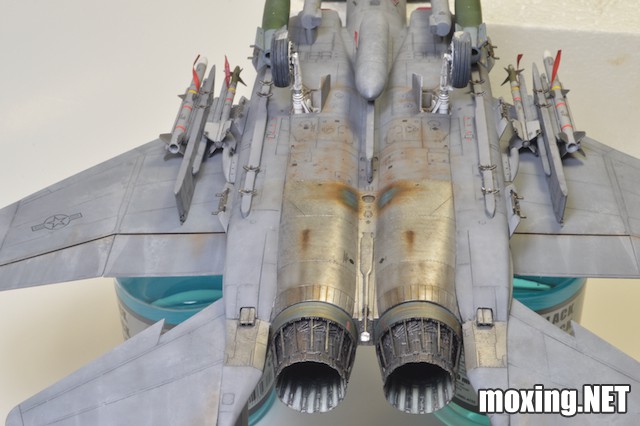 Revell (1-48) F-15E Tiger Lead 04891 - 2 of 10.jpeg