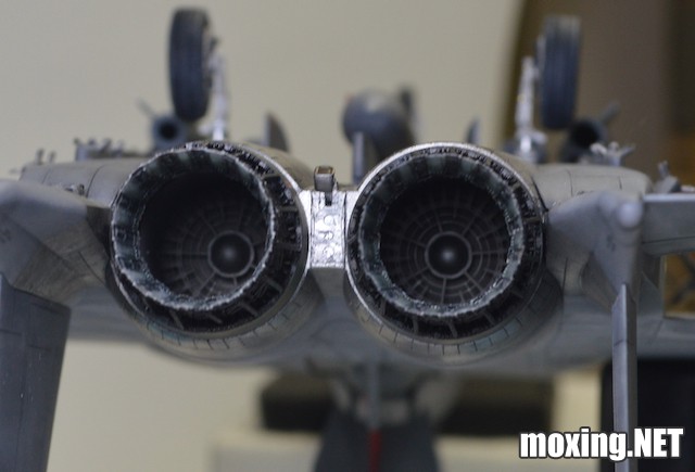 Revell (1-48) F-15E Tiger Lead 04891 - 1 of 10.jpeg