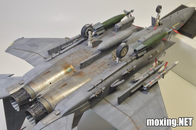 Revell (1-48) F-15E Tiger Lead 04891 - 3 of 10.jpeg