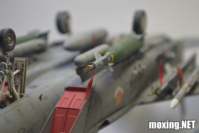 Revell (1-48) F-15E Tiger Lead 04891 - 9 of 10.jpeg