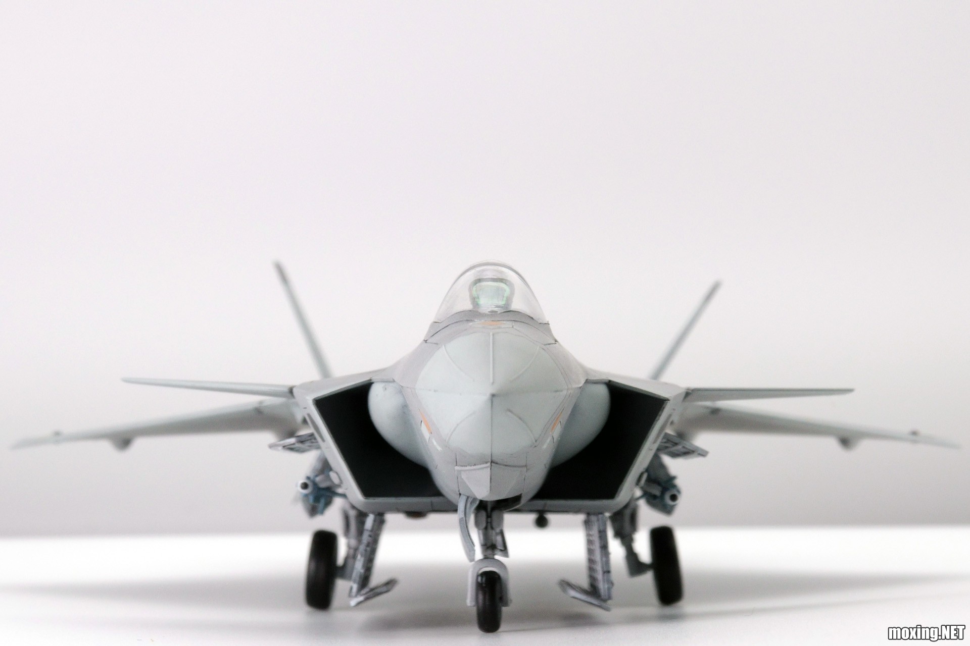 RXX07388.JPG