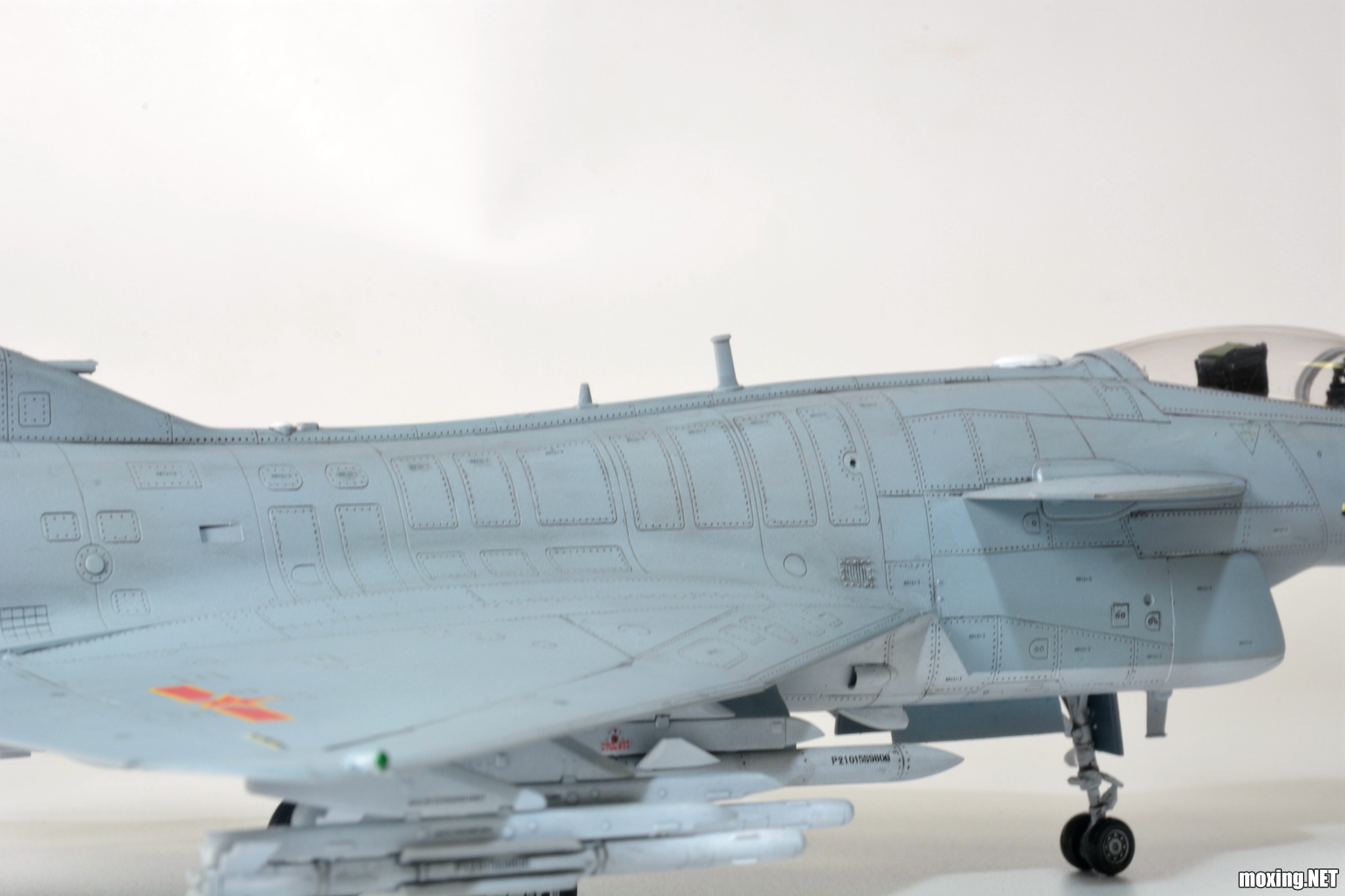 DSC_3839.jpg