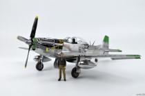 P-51D 野马-22650583作品