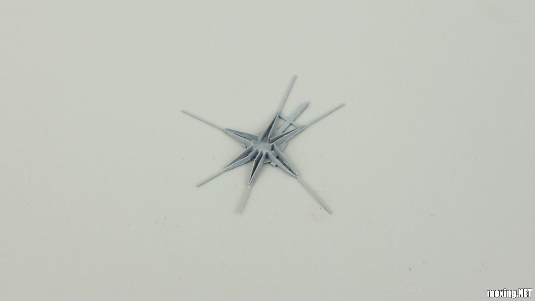 DSC08733_.jpg