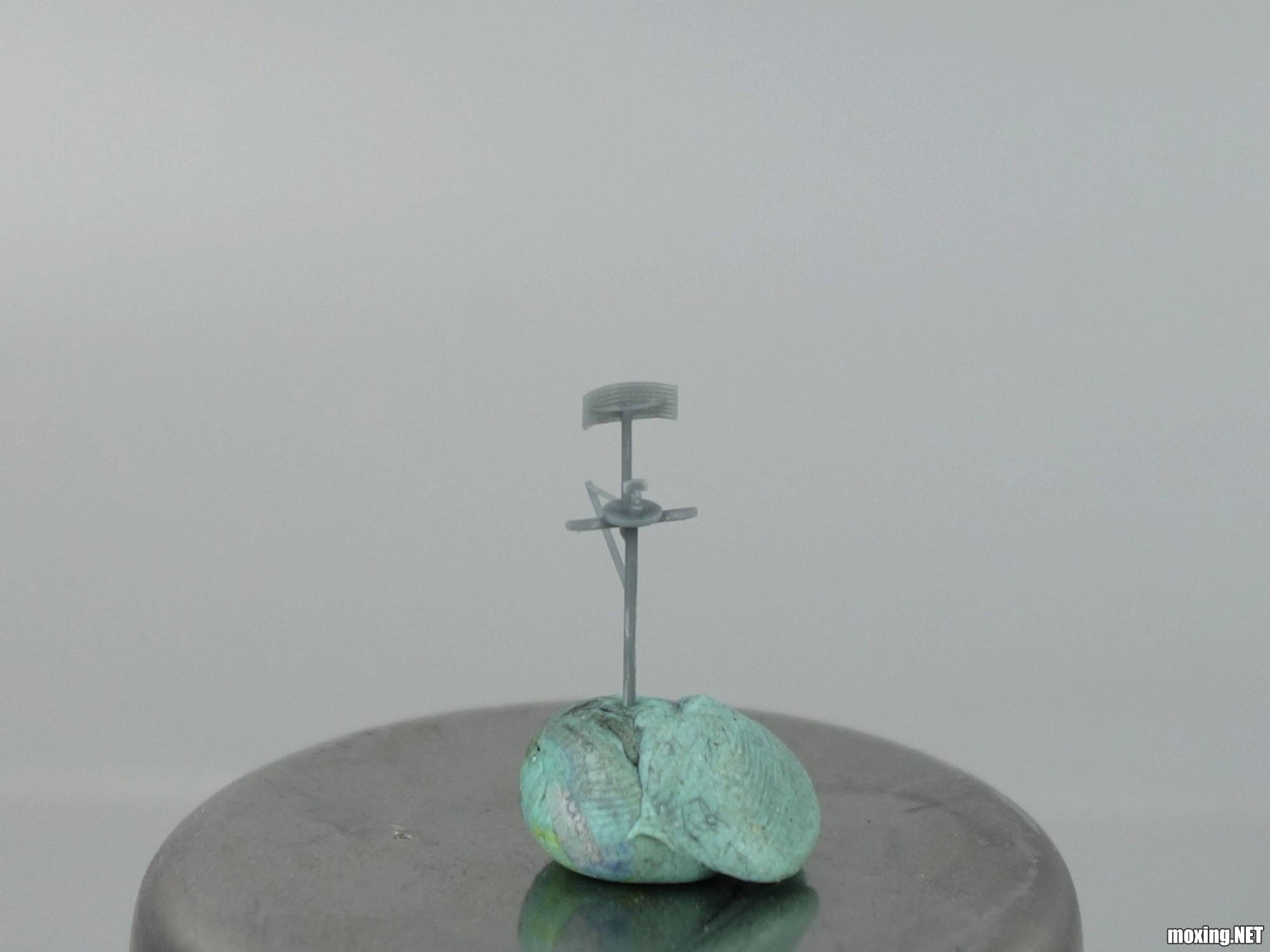 DSC09710_.jpg