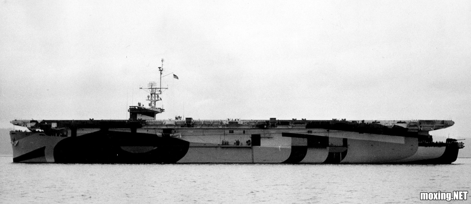 0305516a.jpg