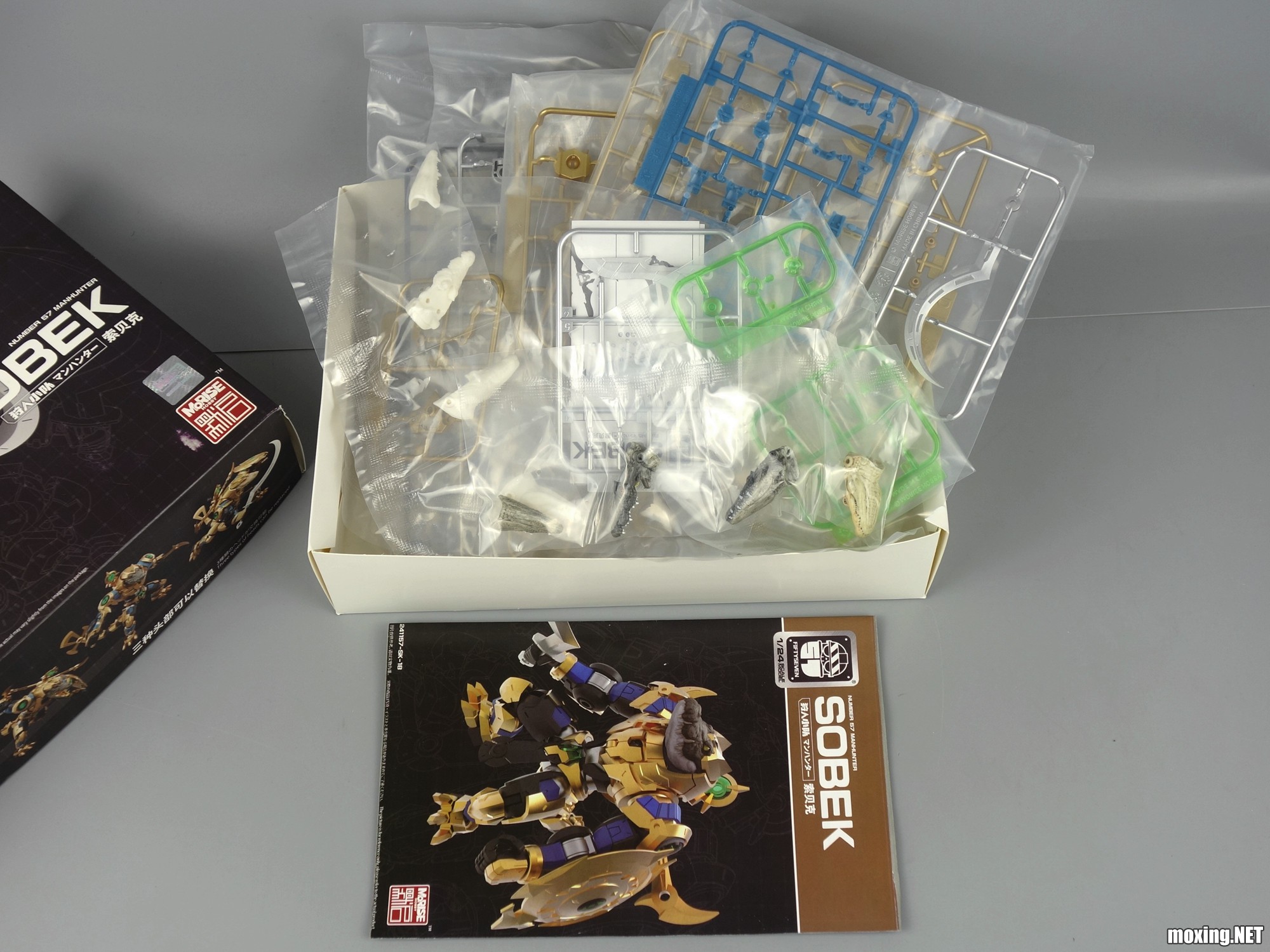 DSC00328_.jpg