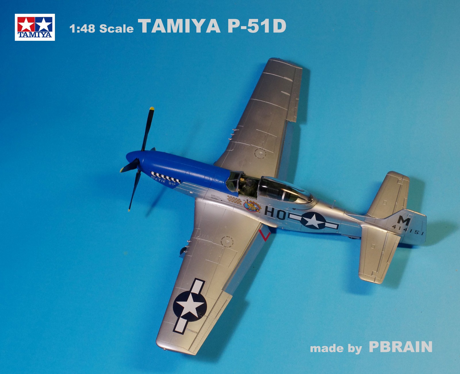 P-51D - e.jpg