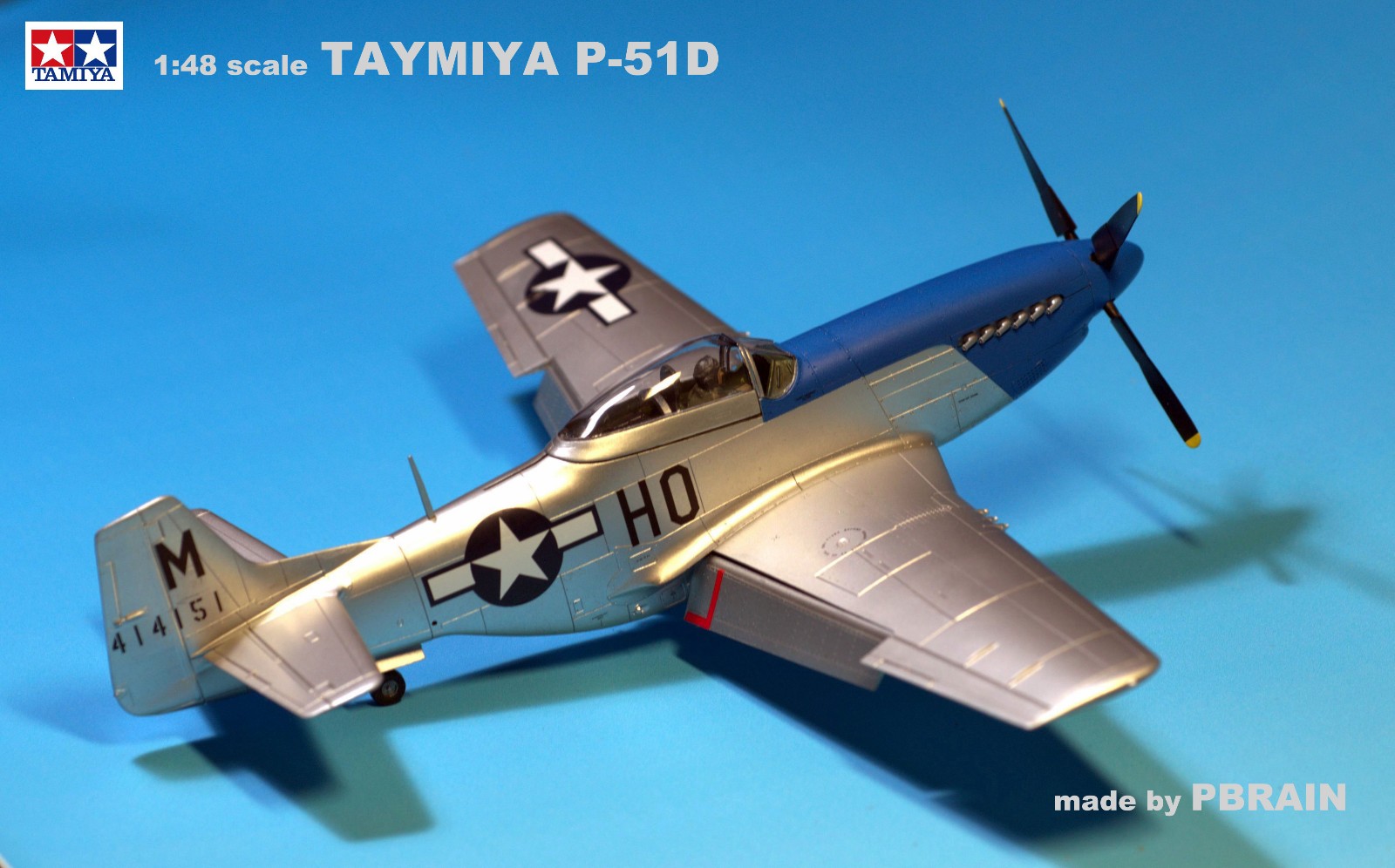 P-51D - gg.jpg