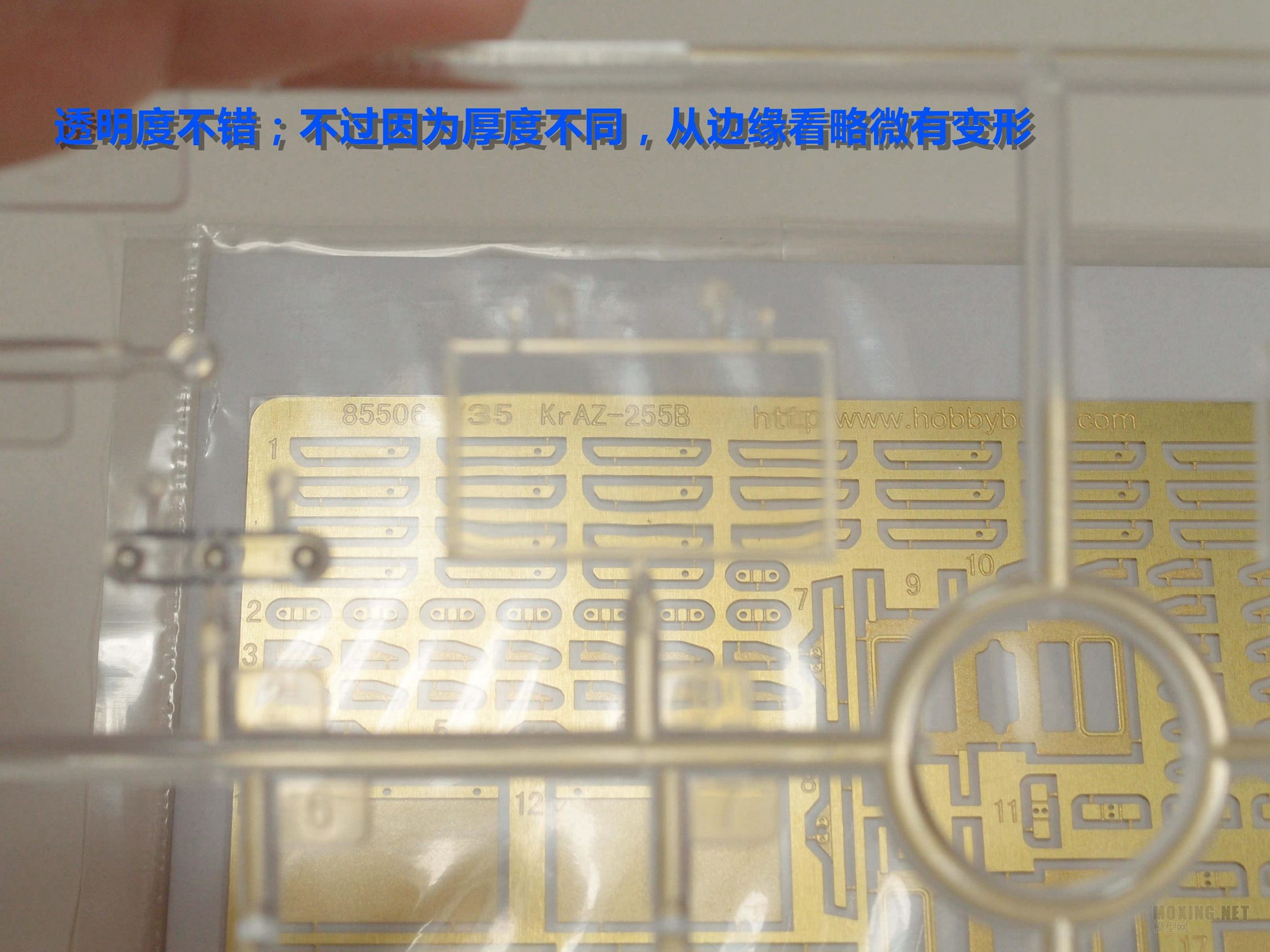 P3092553_.jpg
