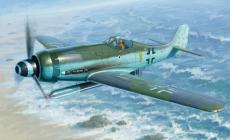 HBƷ-1/48¹FW190D-12 R14ս(81720)