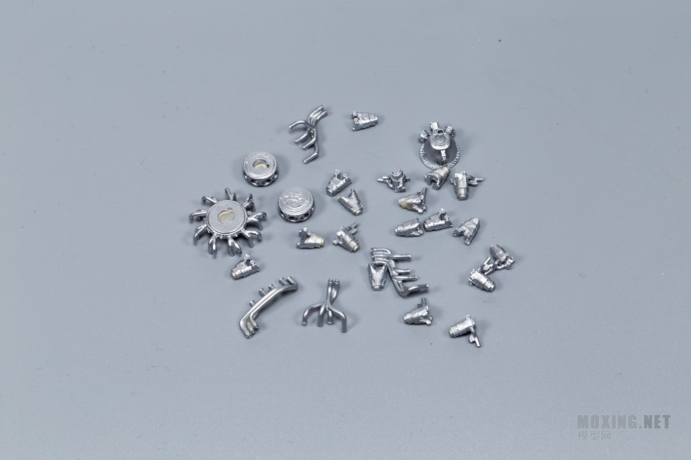 [ģ]Jasmine Model-1/48 F6F-5è(202006)