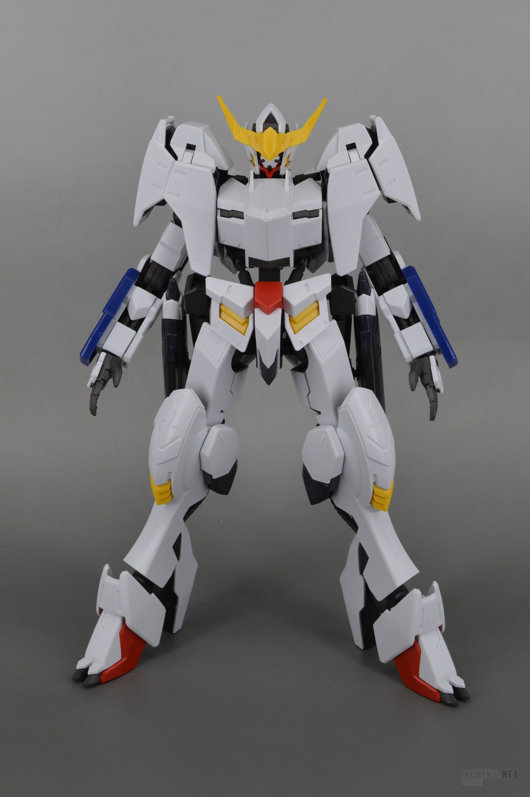 [ģ]-1/100 IBO(Ѫ) 05 ߴͰ˹̬