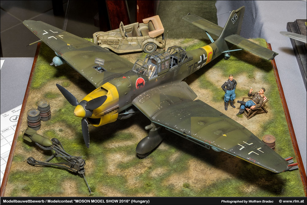 Moson Model show(Īģչ)2016