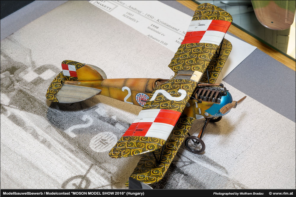 Moson Model show(Īģչ)2016