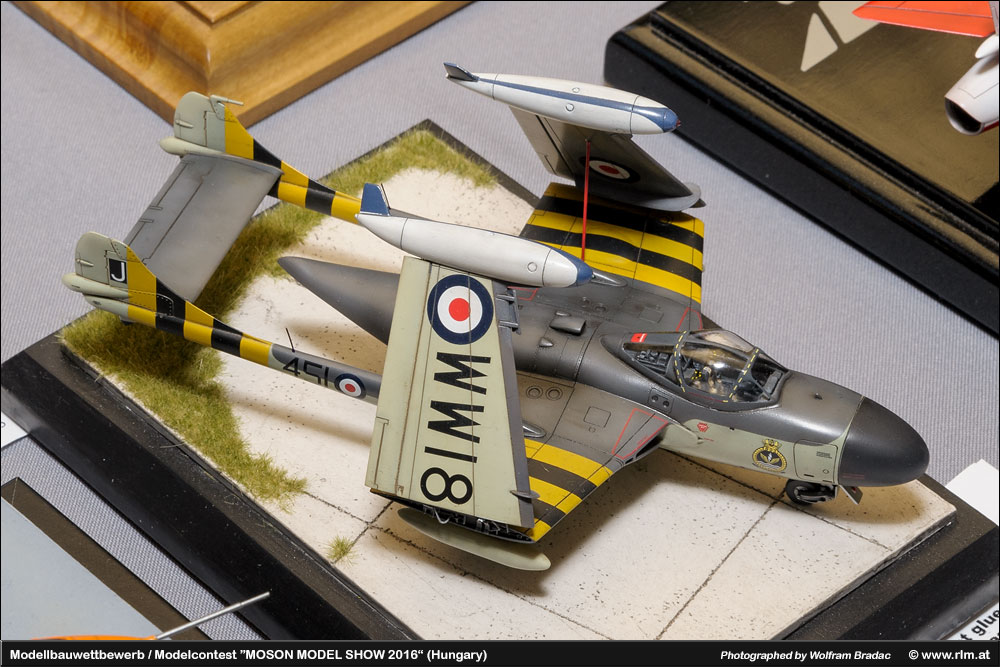 Moson Model show(Īģչ)2016