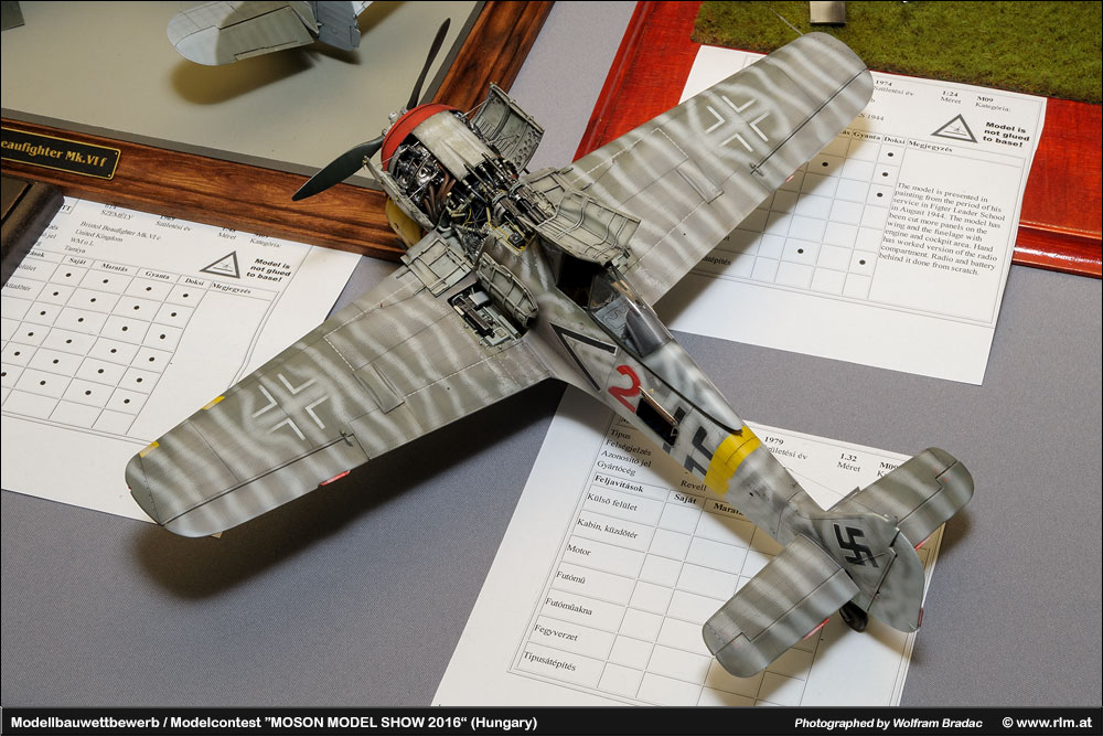 Moson Model show(Īģչ)2016