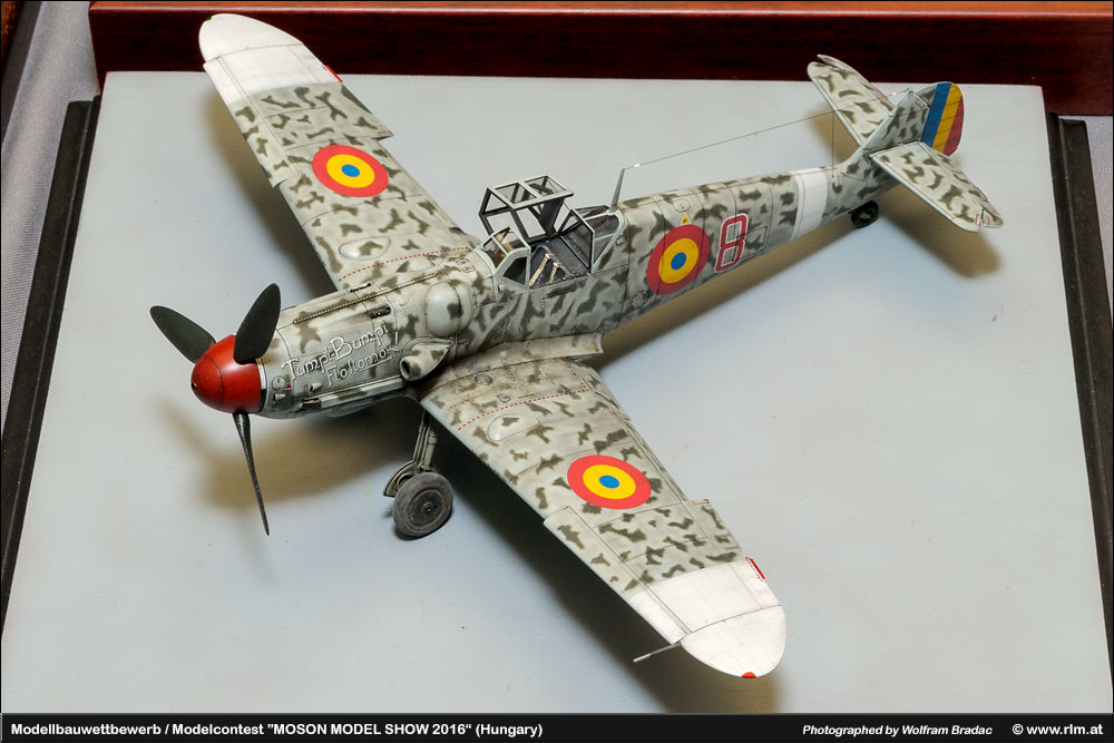 Moson Model show(Īģչ)2016