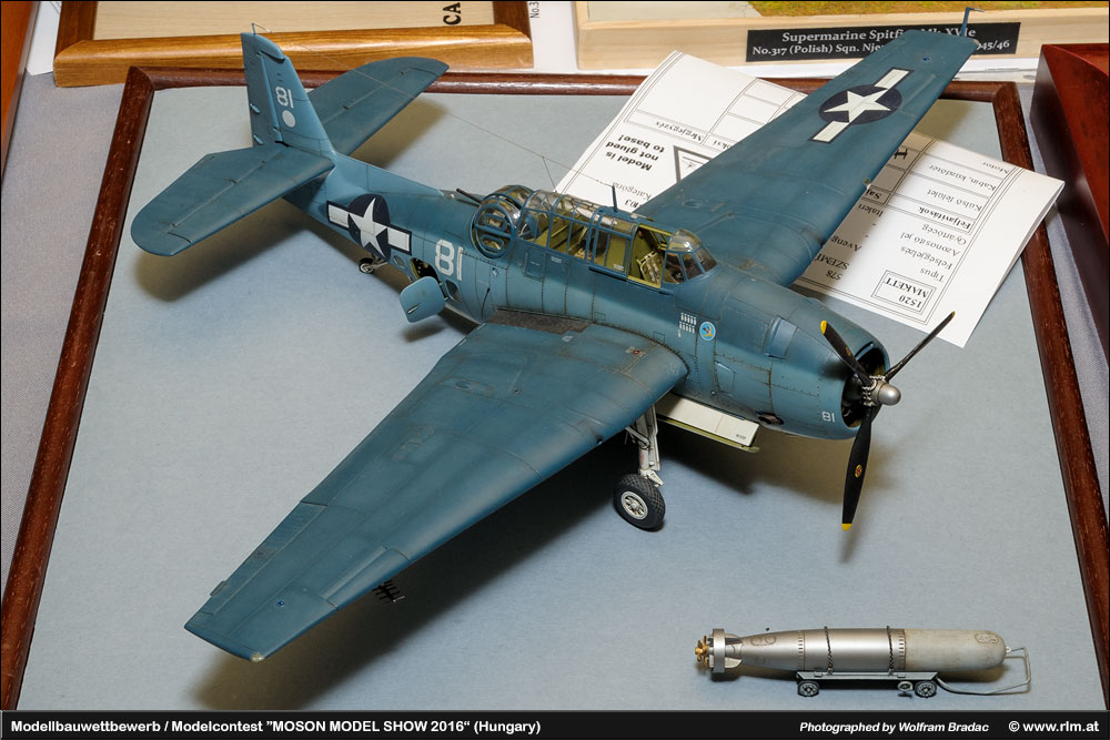 Moson Model show(Īģչ)2016