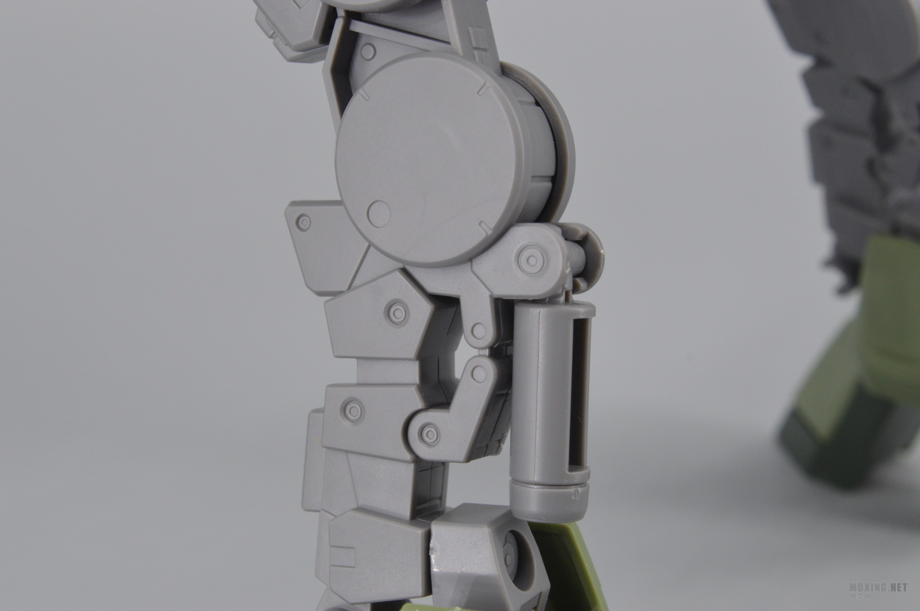 [ģ]-1/100 IBO(Ѫ)ȸ GRAZE CUSTOM