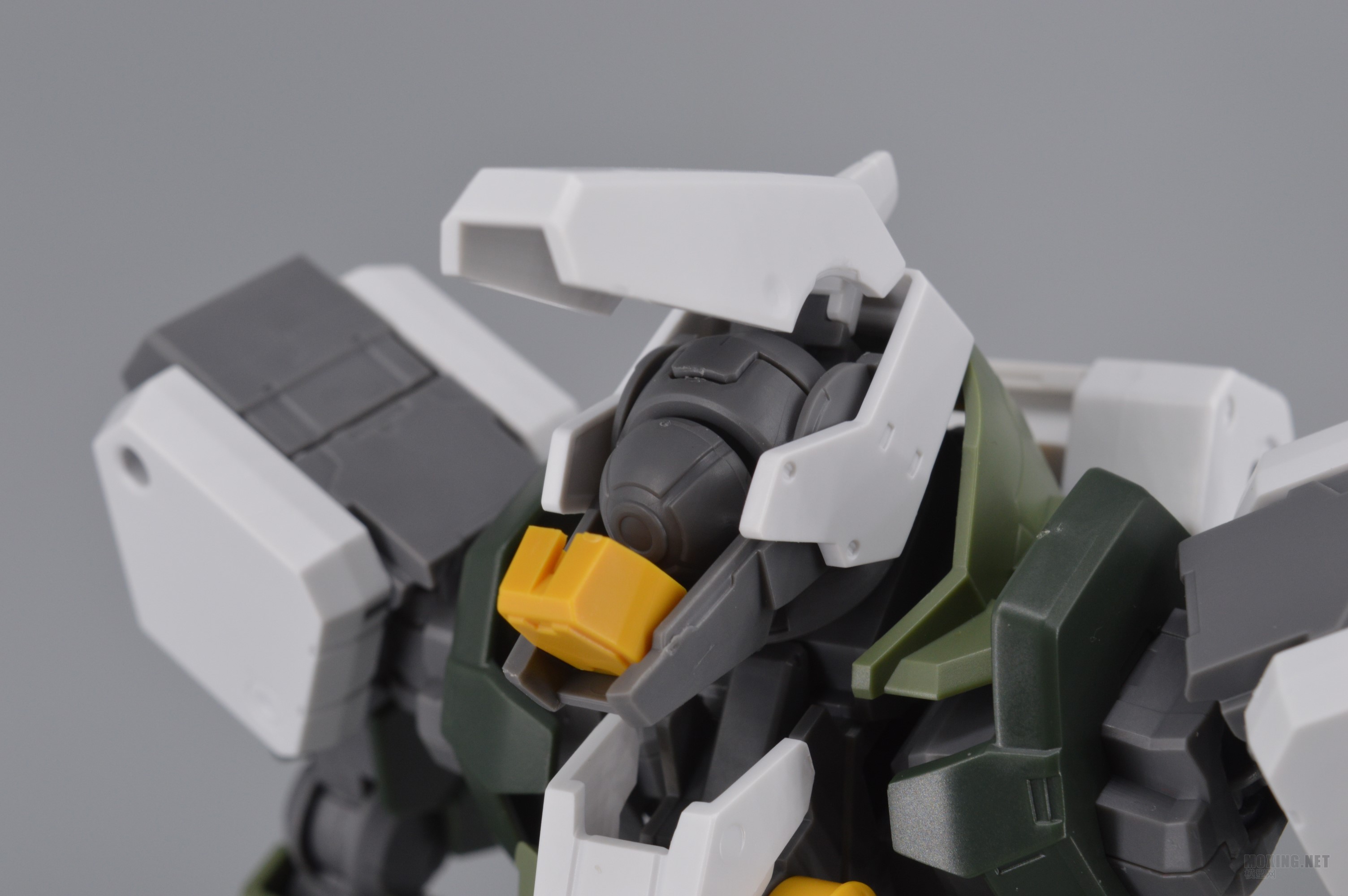[ģ]-1/100 IBO(Ѫ)ȸ GRAZE CUSTOM